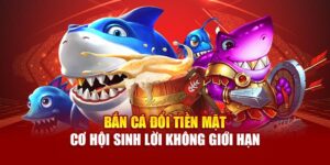 ban-ca-doi-tien-mat-–-co-hoi-sinh-loi-khong-gioi-han