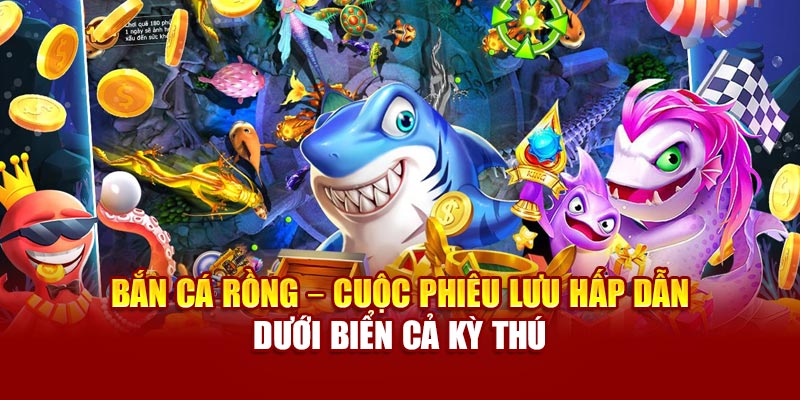 ban-ca-rong-–-cuoc-phieu-luu-hap-dan-duoi-bien-ca-ky-thu