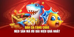 ban-ca-tang-code-–-meo-san-ma-uu-dai-hieu-qua-nhat