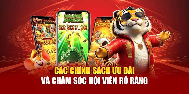 Các chính sách ưu đãi và chăm sóc hội viên rõ ràng