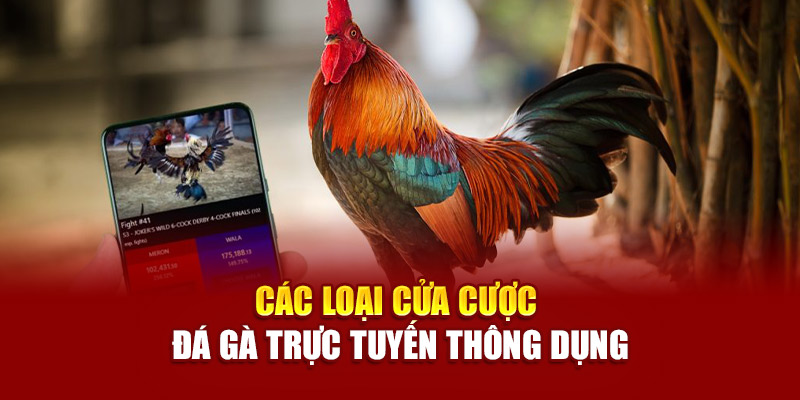 Các loại cửa cược đá gà trực tuyến thông dụng