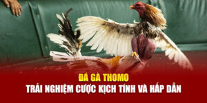 da-ga-thomo-trai-nghiem-cuoc-kich-tinh-va-hap-dan