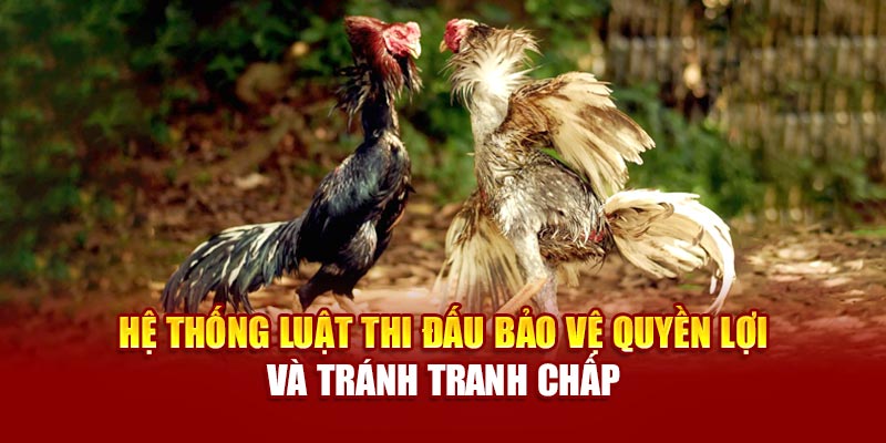 Hệ thống luật thi đấu bảo vệ quyền lợi và tránh tranh chấp