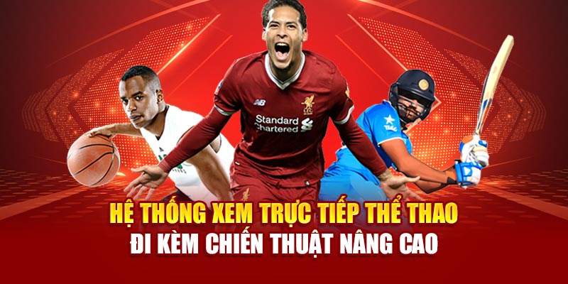 Hệ thống xem trực tiếp thể thao đi kèm chiến thuật nâng cao