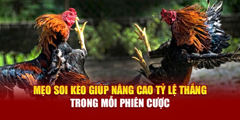 Mẹo soi kèo giúp nâng cao tỷ lệ thắng trong mỗi phiên cược