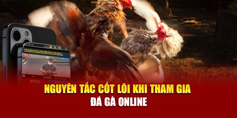 Nguyên tắc cốt lõi khi tham gia đá gà online