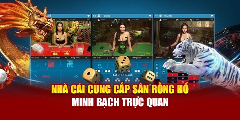Nhà cái cung cấp sân rồng hổ minh bạch trực quan