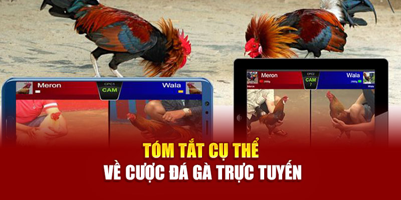 Tóm tắt cụ thể về cược đá gà trực tuyến