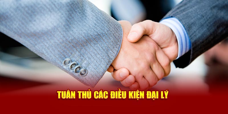 Tuân thủ các điều kiện đại lý