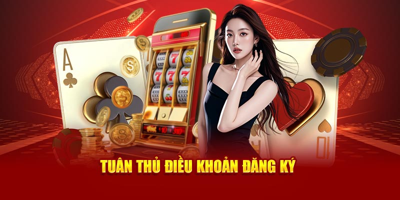 Tuân thủ điều khoản đăng ký